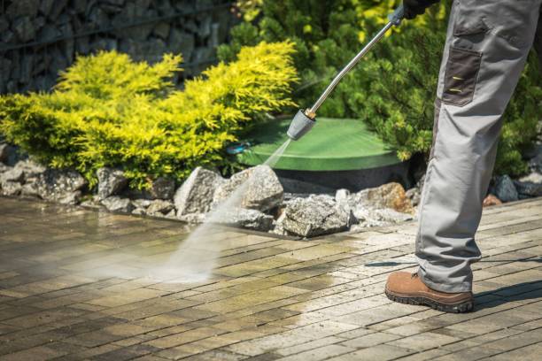 Best Animal Enclosure Cleaning  in Blakely, PA